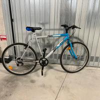 Bici Axxis uomo 26”