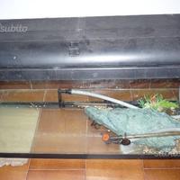 Acquario