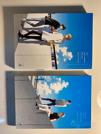 "You are in the blue summer" manga