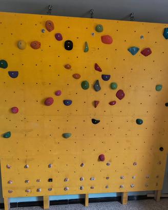 Parete da arrampicata indoor