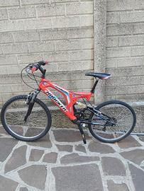 Mountain bike 24