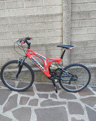 Mountain bike 24