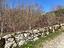 Immagine 18