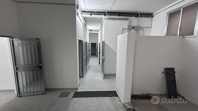 Cantine