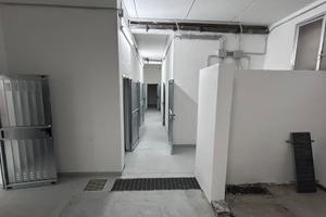 Cantine