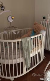 Stokke sleepi evolutiva completa