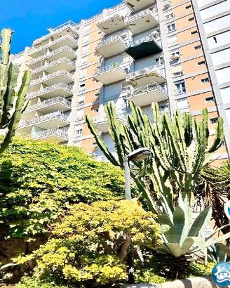 Appartamento 5 Vani Piano 1° con Ampio Terrazzo