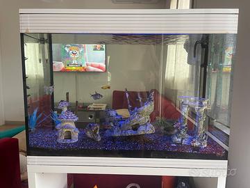 Acquario Askoll
