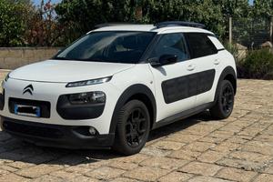 Citreon c4 cactus