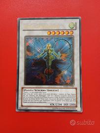 Yugioh Rosa Splendida Ultimate