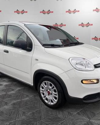 FIAT Panda 1.0 FireFly 70cv Hybrid, 5 POSTI, ...