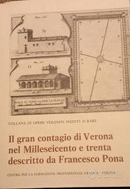 Il gran contagio di Verona nel Milleseicento ..