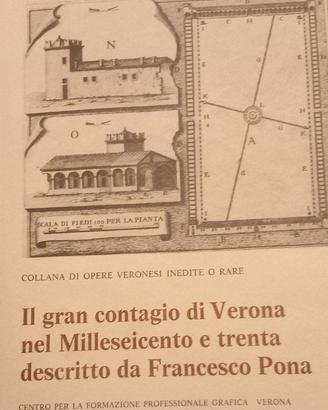 Il gran contagio di Verona nel Milleseicento ..