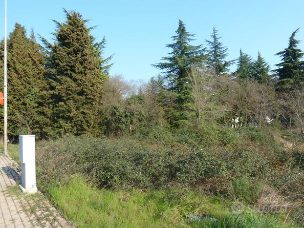 TREGNAGO - LOTTO EDIFICABILE IN PARCO DELLA SAVIA