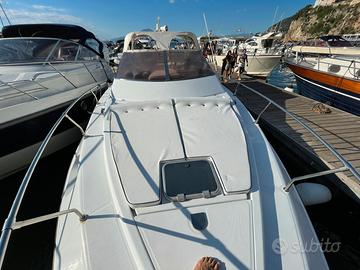 Conam Lupo di mare 36