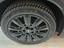 Immagine 10