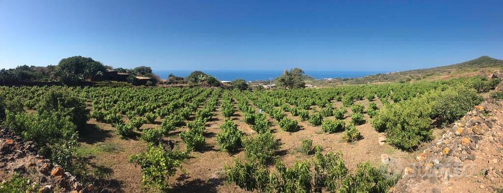 Pantelleria - Piccolo Dammuso a Favarotta - Vista 4