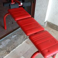 palestra carnielli  ...