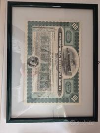 Certificato azionario con cornice verde scuro