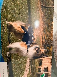 Corpetto BT Body lift