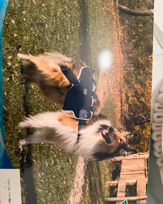 Corpetto BT Body lift