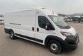 Fiat DUCATO ISOTERMICO + FRIGO