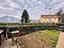 Immagine 21