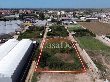 Terreno agricolo a Villa Literno