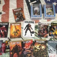 SANTUARIO DI WOLVERINE