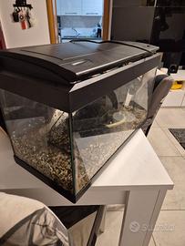 Acquario 60 lt