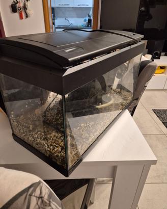 Acquario 60 lt
