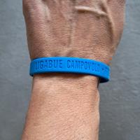 Braccialetto silicone concerto Ligabue Campovolo