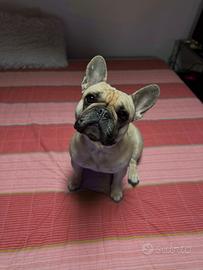 Bulldog francese per accoppiamento