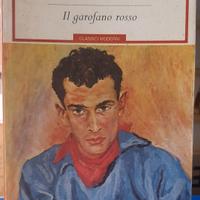 libro_"Il garofano rosso"