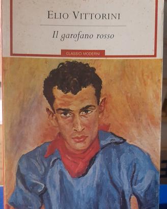 libro_"Il garofano rosso"