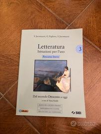 Letteratura Istruzioni Per l'uso (percorso breve)