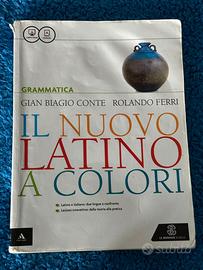 il nuovo latino a colori - grammatica