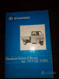 Manuale per stazione di servizio Ape TM P 703