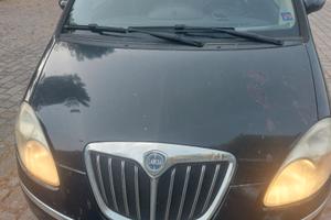 MUSA 1.9 MJ - GOLD - TETTO