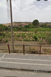 Terreno a Camini/ Ellera