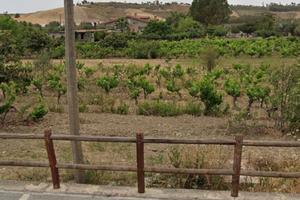Terreno a Camini/ Ellera