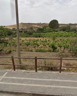 Terreno a Camini/ Ellera