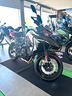 benelli-trk-702-x-gres-white-nuova