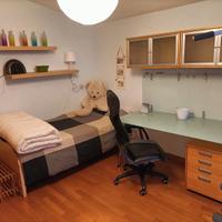 Stanza e bagno uso esclusivo in villa