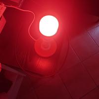 Lampadina Smart Xiaomi