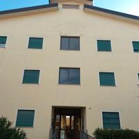 Appartamento o camera singola zona unical