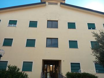 Appartamento o camera singola zona unical