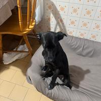 Una casa per lei