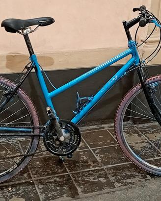 MTB Mountain Bike "Rigenerata" ruote 26x195