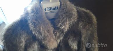 pelliccia di marmotta montata su camoscio